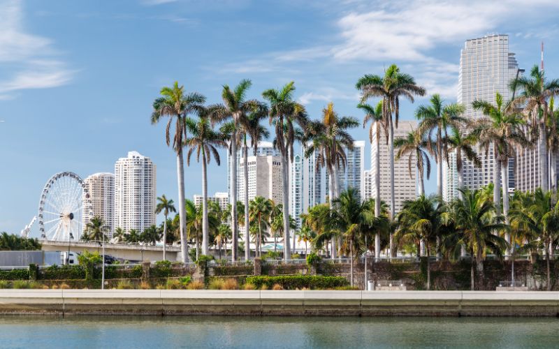 miami-luxe-design-invest-01